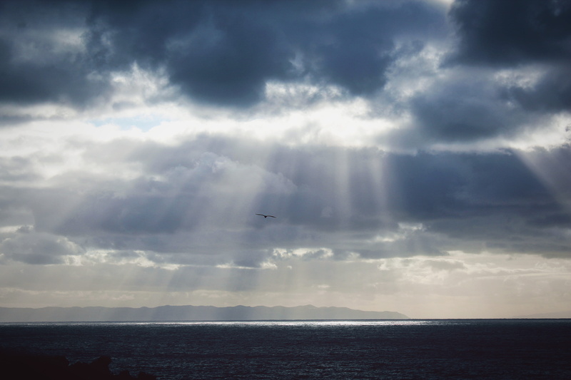 sea, ocean, non-urban scene, atlanticocean, atlantic, 5K, waterfront, clouds, sky, pico, sun, blue, bird, grey, water, shades, idyllic, nature, portugal