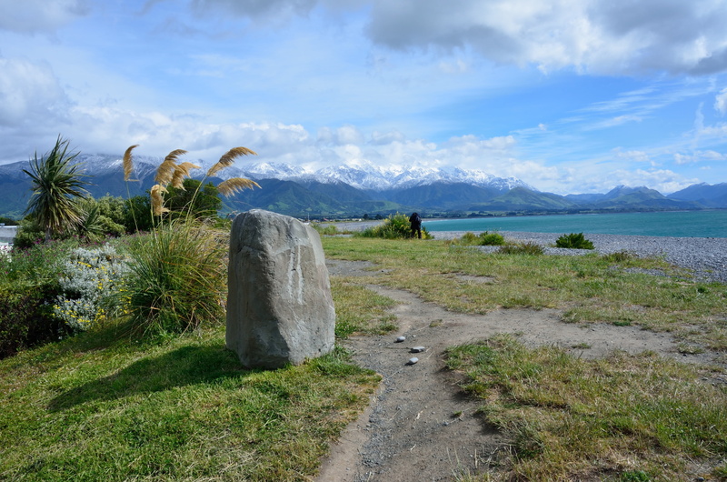 reed, snow, field, new zealand, mountain, land, seashore, non-urban scene, path, canterbury, no people, green, aotearoa, plant, idyllic, stone, beauty in nature