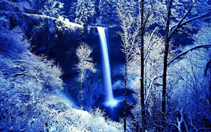 waterfall, tree, icy, 1080P, waterfalls, forest, snow, 1920x1200, winter, nature