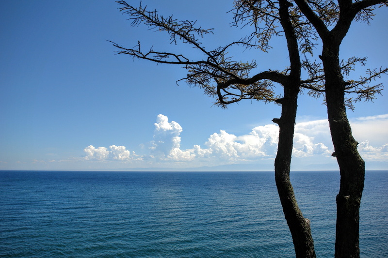 baikalsee, beauty in nature, outdoors, idyllic, horizon, lake, daytime, russia, tree trunk, trees, nature, tree, plant, day, tranquility, landscape, irkutsk