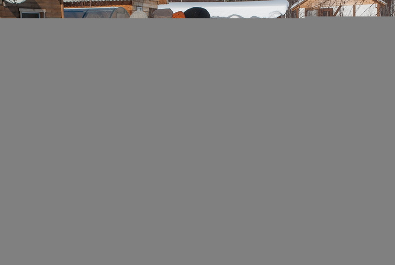 irkutsk, group of people, adult, winter, women, sky, copy space, woodcutter, human body part, 2K, building exterior, siberia, men, chainsaw, architecture