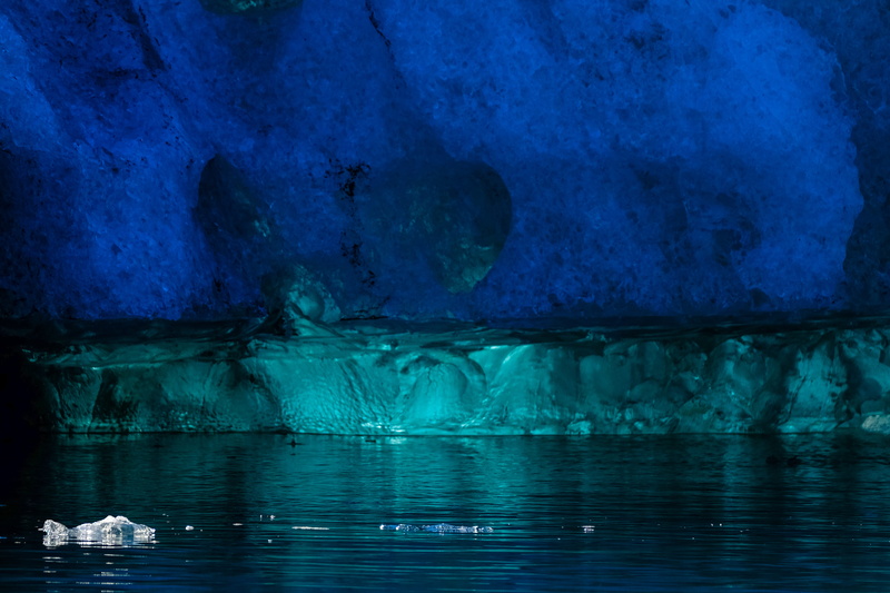 reflection, sea, animal wildlife, lake, day, animal themes, no people, scenery, aurora, ocean, frozen, outdoors, snow, lagoon, sea life, water, iceberg