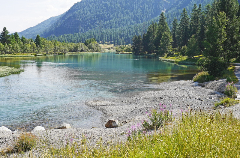 remote, summer, alpine, tranquility, flowering plant, landscape, high alps, body, switzerland, idyllic, tranquil scene, day, high inntal, lake, inntal valley