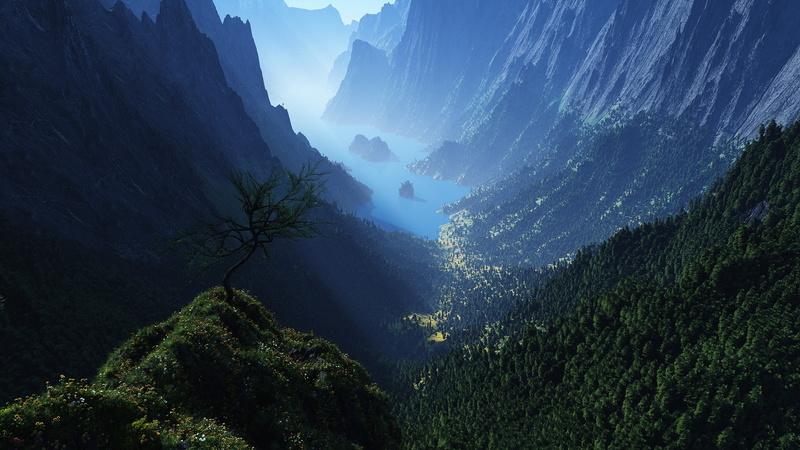 environment, hi def nature pictures 2560x1440, outdoors, growth, tranquility, sky, plant, day, no people, water, green color, mountain, nature, tree, idyllic