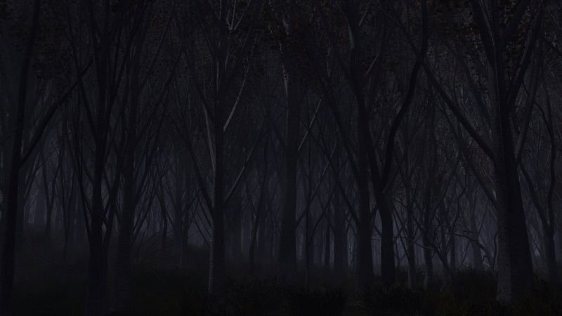 tree, mystery, tranquility, forest, tree trunk, nature, silhouette, no people, land, tranquil scene, night, sky, 2K, scenics - nature, plant, spooky, trunk