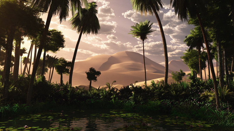 hi def nature pictures 2560x1440, land, palm tree, growth, no people, tranquil scene, tropical climate, plant, nature, 2K, non-urban scene, outdoors, cloud - sky