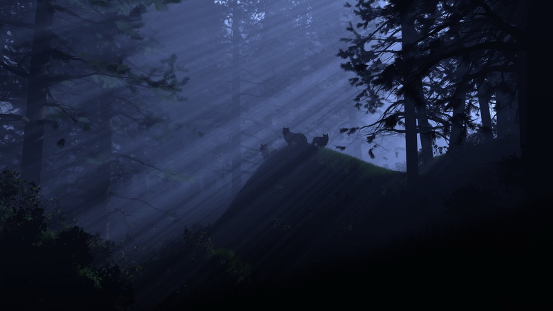 2K, day, forest, land, idyllic, hi def nature pictures 2560x1440, outdoors, scenics - nature, nature, no people, beauty in nature, tranquil scene, silhouette