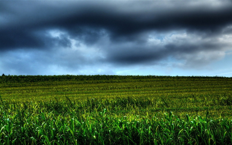 green color, beauty in nature, environment, ominous, storm cloud, field, landscape, hi def nature backgrounds pictures 1920x1200, thunderstorm, outdoors