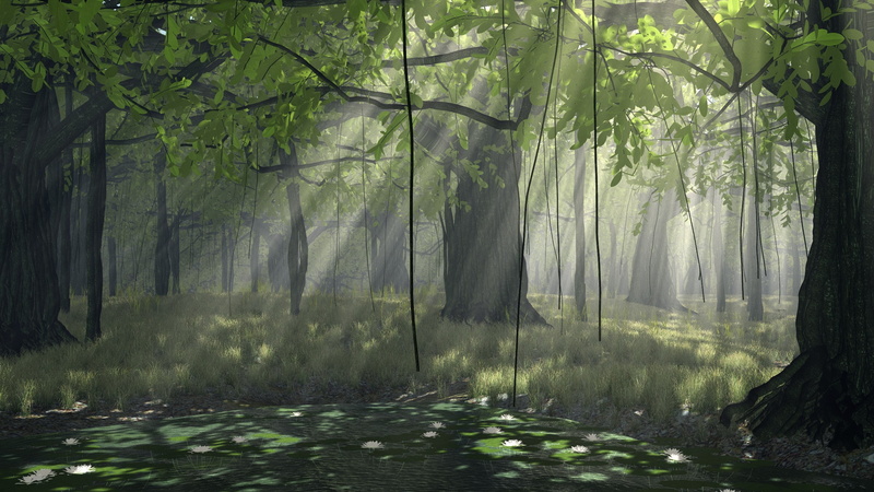 plant, tranquil scene, outdoors, nature, land, fog, hi def nature pictures 2560x1440, growth, no people, non-urban scene, 2K, scenics - nature, streaming