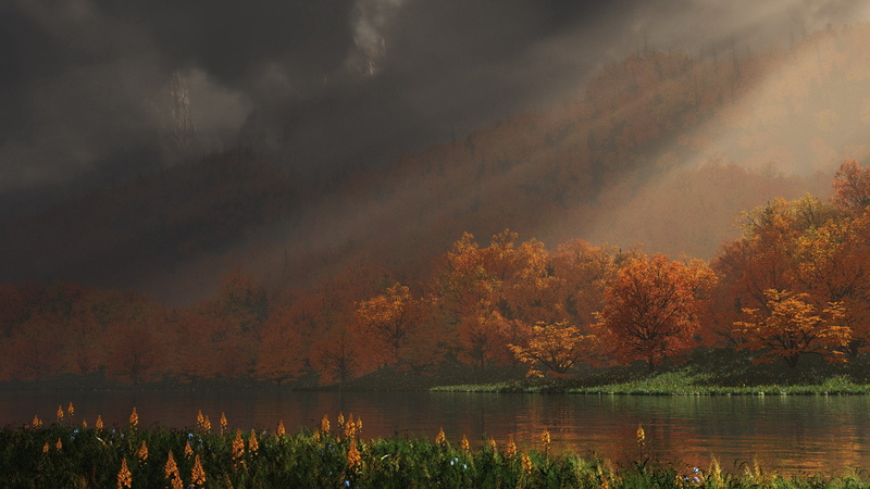 hi def nature pictures 2560x1440, plant, cloud - sky, change, reflection, orange color, lake, 2K, water, tranquility, beauty in nature, tree, outdoors