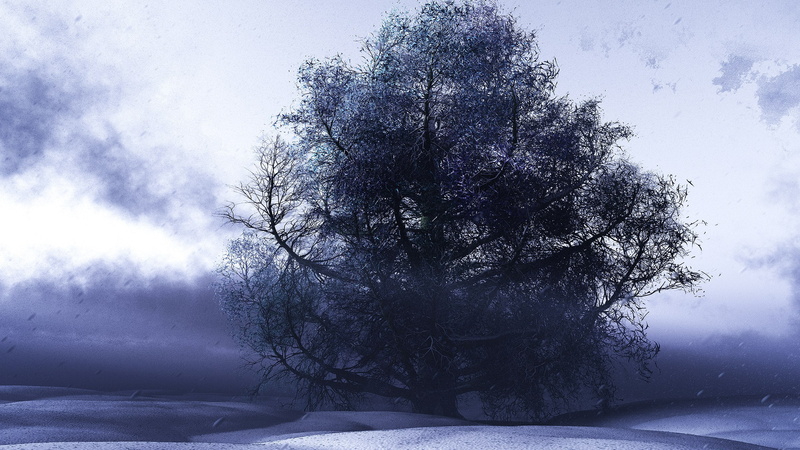 tree, extreme weather, landscape, non-urban scene, snow, frozen, cloud - sky, beauty in nature, environment, tranquility, sky, land, cold temperature, covering