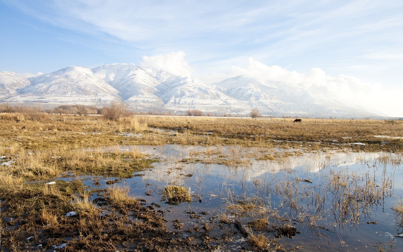 mountain, tundra, mountains, beauty in nature, environment, mountain range, nature, snowcapped mountain, sky, cold temperature, grass, outdoors, winter