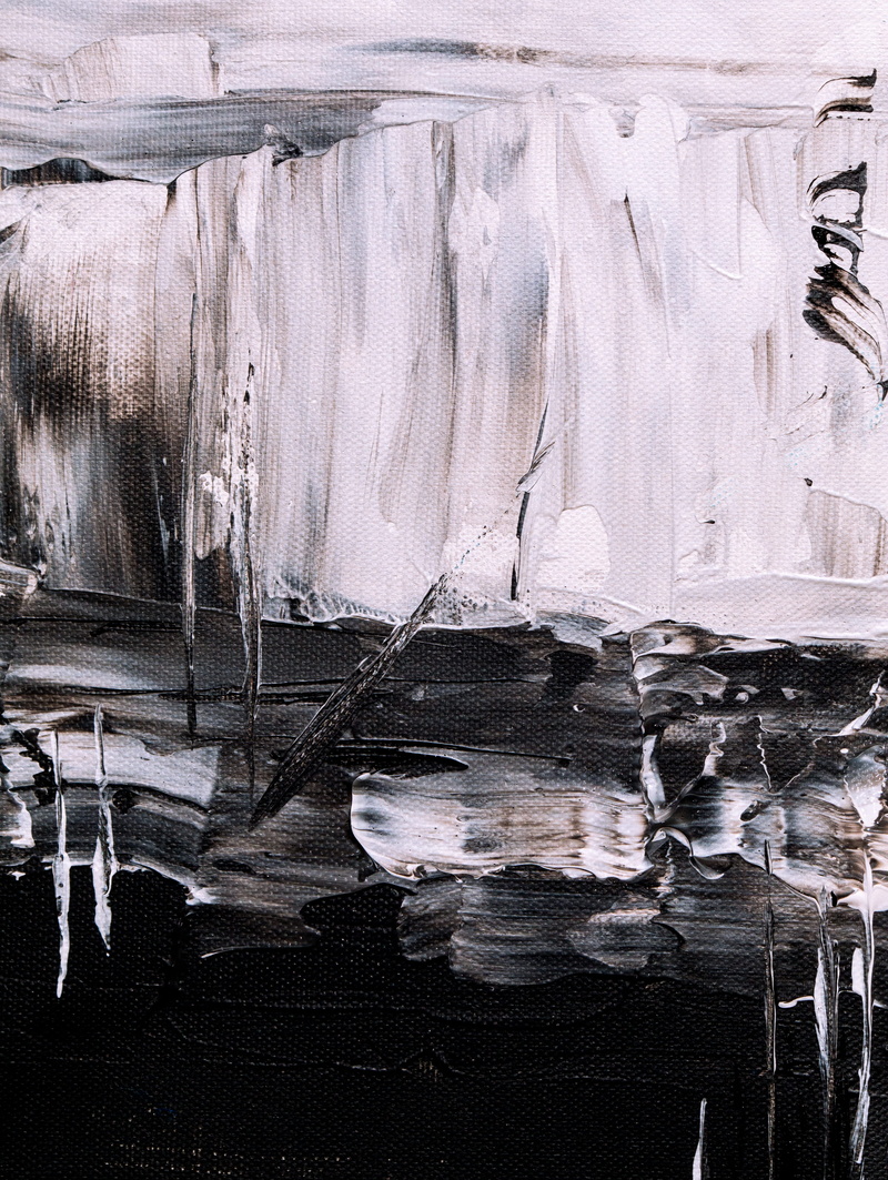 animal, icicle, day, car, lake, built structure, vehicle, non-urban scene, painting, transportation, pattern, art, black and white, wall - building feature