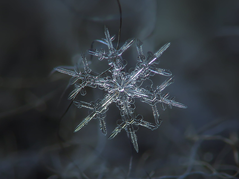 decoration, christmas, backgrounds, nature, abstract, crystal, Snowflake, winter, 720P