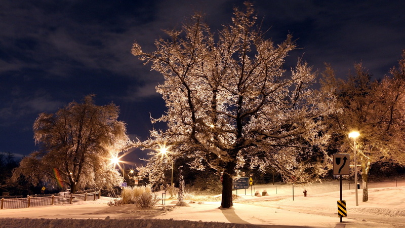 architecture, city, night, dark, sky, sunset, no People, cold - Temperature, twilight, scenics, hoarfrost, tree, leafed, tree trunk, park, december, season