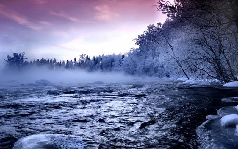 sky, fog, plant, wilderness Area, non-Urban Scene, frost, river, power in nature, weather, snow, trees, woodland, near, morning, cloud - sky, flowing, tranquil Scene