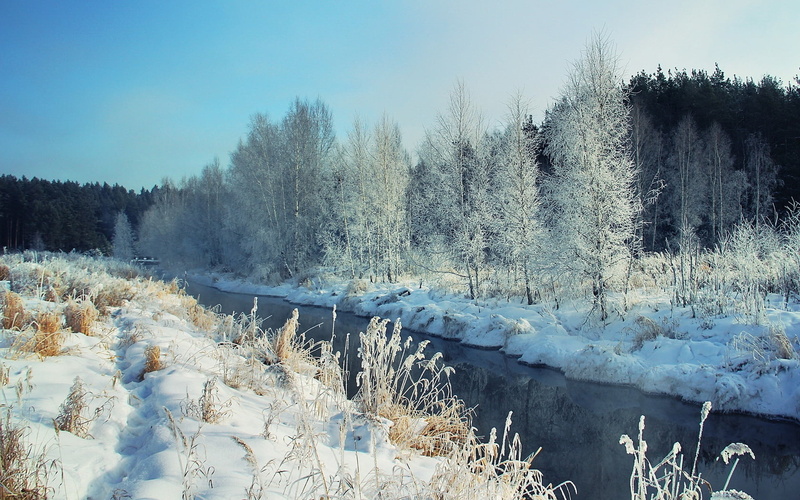 frozen, backgrounds, nature, water, branch, coniferous tree, hoarfrost, frost, north, tree, scenics, white, body, russia, scenics - nature, weather, woodland