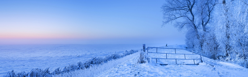 Snow, Cold, Frozen, 4K, Winter, Netherlands