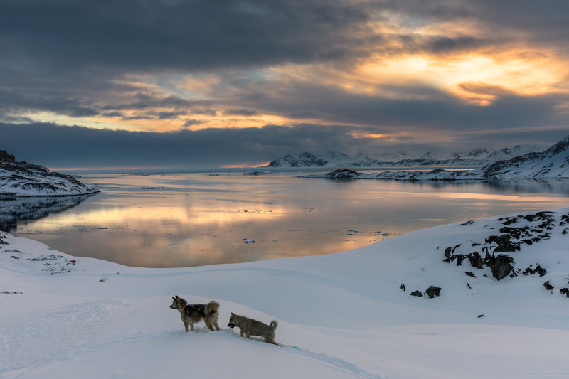 landscape, mountain, sunset, nature, arctic  coast, clouds, winter, wolfdogs, two, puppies, sea, ocean, arctic, dog, Kulusuk, dogs, Canon  EOS  5D, Grönland