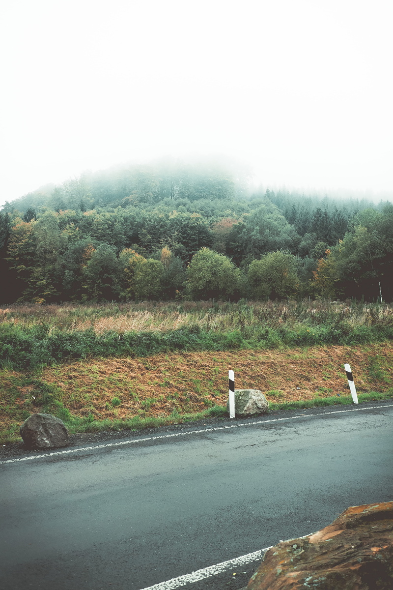 germany, scenics - nature, bushes, autobahn, day, snapshot, early, meadow, non-urban scene, tranquility, outdoors, clear sky, trees, sky, tranquil scene