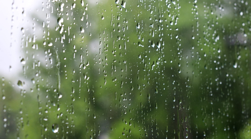 glass - material, no people, rain, full frame, weather, background, green, droplet, drop, grass, leaf, vegetation, reflection, monsoon, plant, purity, raindrops