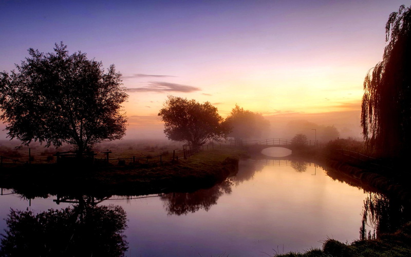 bridge, orazhenie, the surfac, morning, view, 1080P, river, nature and landscapes, landscape, willow, trees