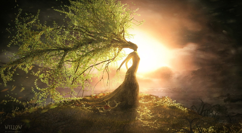 sun, land, scenics - nature, sunbeam, idyllic, tree, 1080P, Willow, outdoors, day, woman, beauty in nature, Fantasy, sunset, plant, branch, non-urban scene