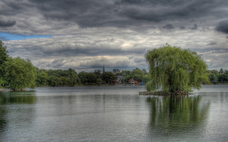 trees, sky, clouds, coast, willow, 1080P