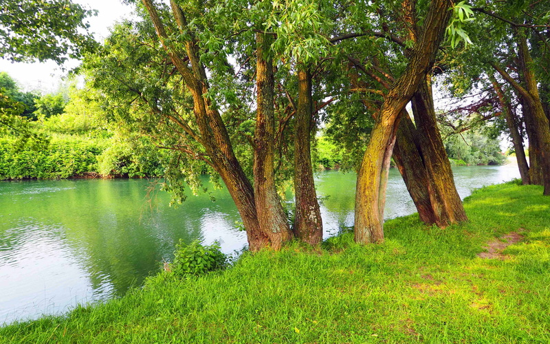 outdoors, lake, 4K, calm, water, growth, green color, scenics - nature, beauty in nature, tree, grass, non-urban scene, desktop, land, plant, tranquility