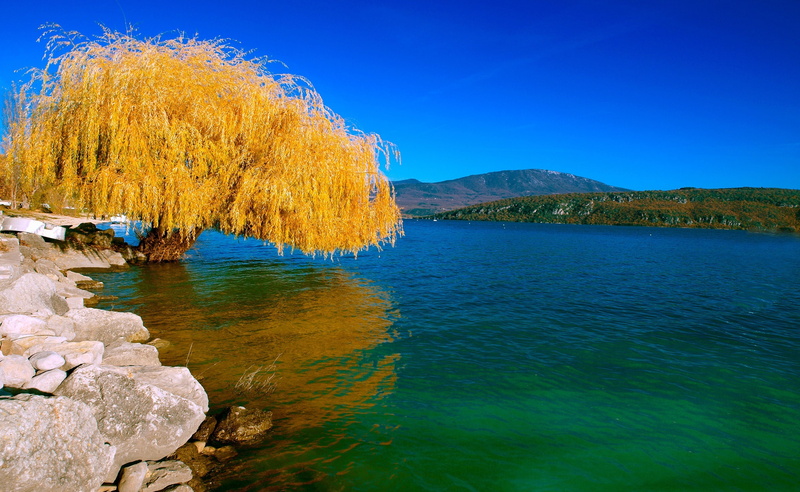 plant, mountain, no people, tranquility, Yellow, beauty in nature, tree, land, leafed, day, idyllic, rock - object, Beautiful, Autumn, tranquil scene, outdoors