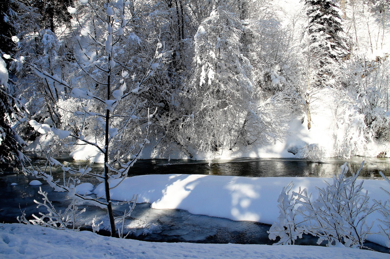 landscape, tree, icy cold, reflection, sun, snowy, water, cold, tranquility, frosty, wintry, winter, tranquil scene, winter time, frost, non-urban scene