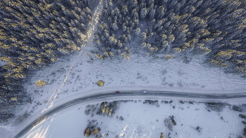 forest, cold, outdoors, nature, aerial, birds eye view, cold temperature, snow, color, scenic, cars, motion, ice, speed, road, high angle view, long exposure