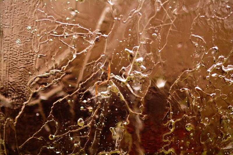 full frame, selective focus, ice, eiskristalle, 5K, frozen, focus on foreground, no people, plant, frost, day, close-up, frosty, transparent, freshness
