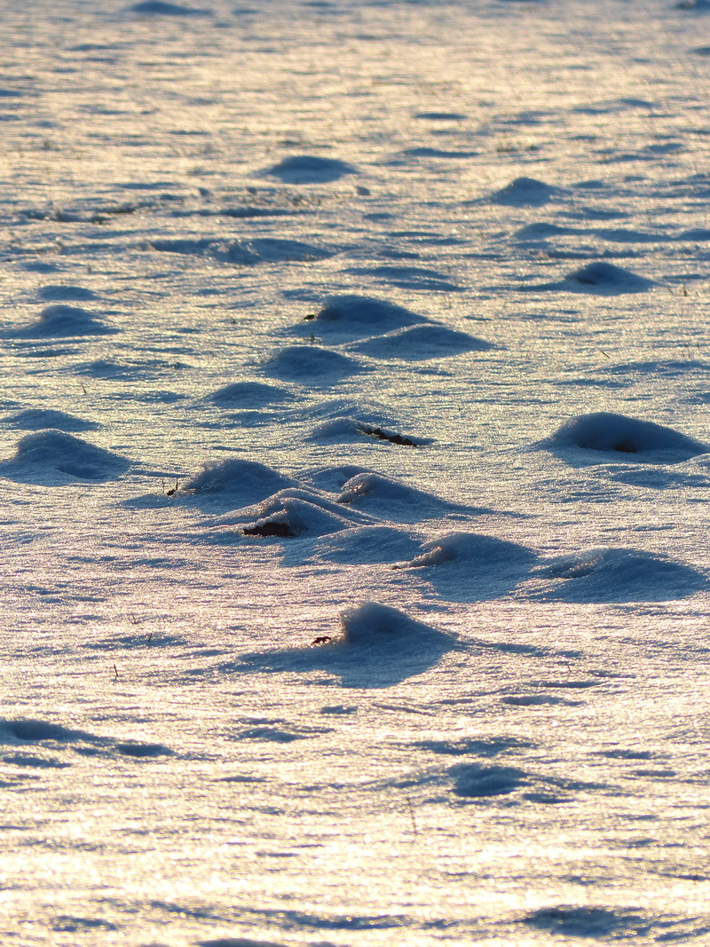 Snow, land, pattern, blue, Frozen, Wintry, sand, field, outdoors, day, white, high angle view, shimmer, 4K, Molehill, shadow, snowy, cold temperature