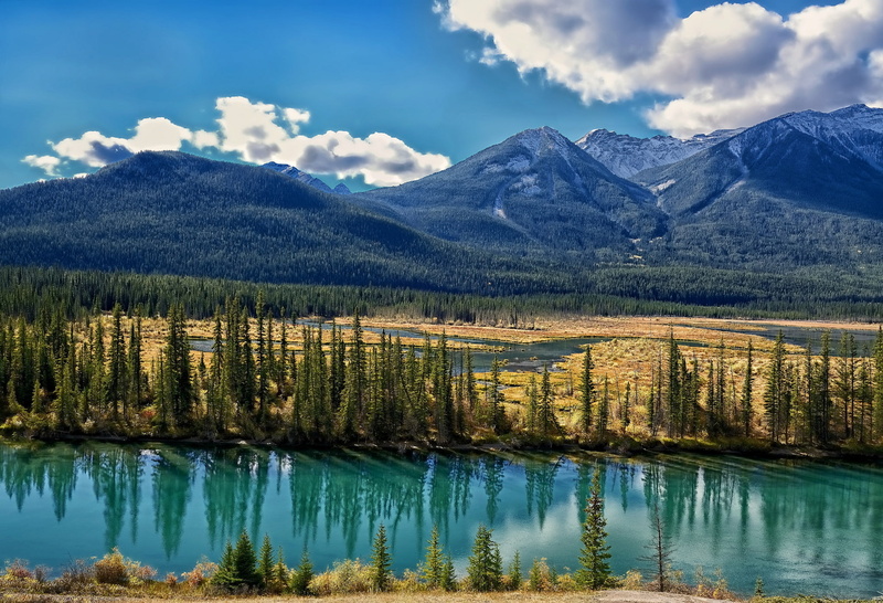 the bow river, valley, Albert, Alberta, Canada, Bow River, trees, 1080P, mountains