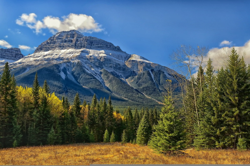 Canada, idyllic, forest, cold temperature, mountain, land, 1080P, trees, nature, snowcapped mountain, Rocky mountains, scenics - nature, Alberta, tree