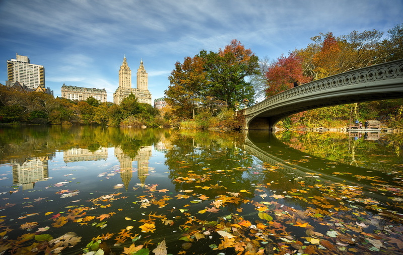 1080P, Central Park, New York, Bow Bridge, bridge, NYC, river