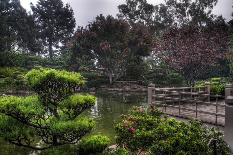 growth, central Park, pond, vegetation, lake, reflection, scenics, garden, flowering plant, landscape, plant, formal Garden, outdoors, park, green Color