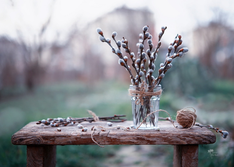 spring is coming, bokeh, 1080P, Verba