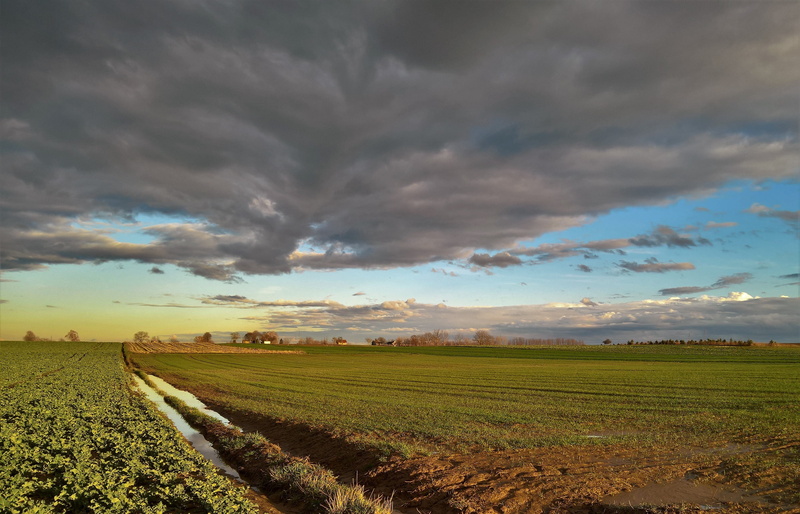 day, idyllic, outdoors, spring coming, tranquility, landscape, nature, land, tranquil scene, cloud - sky, beauty in nature, environment, rural scene, field