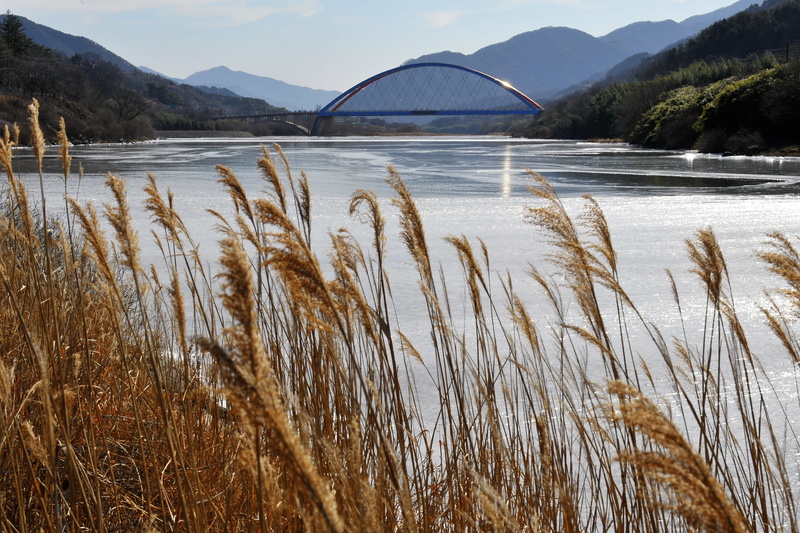 for, tranquility, growth, sky, lake, silver grass, beauty in nature, bing health, icing, nature, plant, land, grass, mountain, scenics - nature, tranquil scene