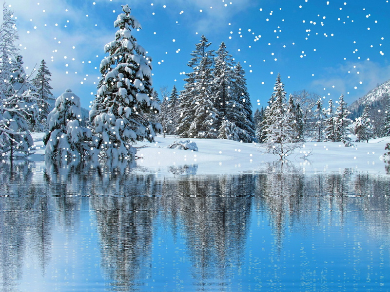 snow, non-urban scene, tranquil scene, covered, winter, tree, snowcapped mountain, no people, eiskristalle, trees, tranquility, plant, snow landscape, green