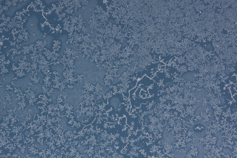 4K, nature, crystallization, pattern, textured, blue, macro, water, ice, frost, floral, purity, beauty in nature, hardest, glass, winter, cold, gray, outdoors