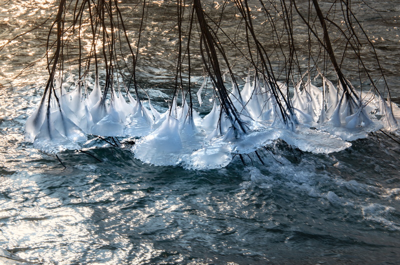 water, snow, icicle, wintry, waterfront, hoarfrost, plant, cold temperature, nature, bare tree, day, purity, winter, cold, ice, eisbach, winter magic, munich