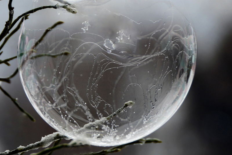 beauty in nature, day, plant, snow, shape, frozen bubble, bubble, photography, timelapse, close-up, drop, winter, soap bubble, eiskristalle, ice cold, ice