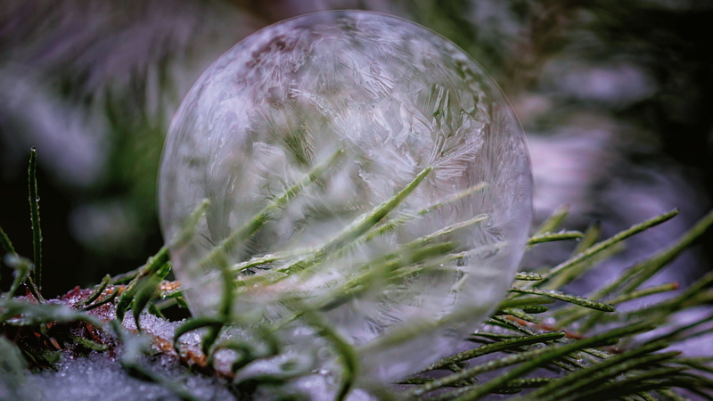 fir tree, winter, eiskristalle, plant, freshness, outdoors, nature, environment, hardest, fragility, water, frost, vulnerability, soap bubble, wintry, snow