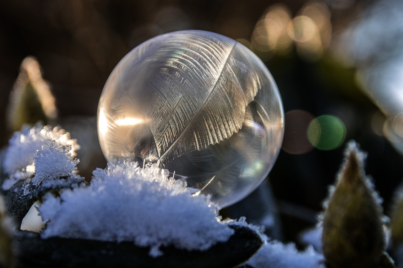 white color, snow, vulnerability, bubble, old-fashioned, frost, no people, nature, outdoors, frozen bubble, day, shape, ice, backgrounds, cold, cold temperature