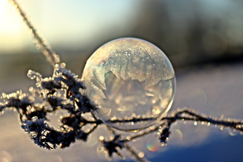fragility, environment, no people, outdoors, frost blister, nature, cold, beauty in nature, focus on foreground, single object, shape, winter, frozen bubble