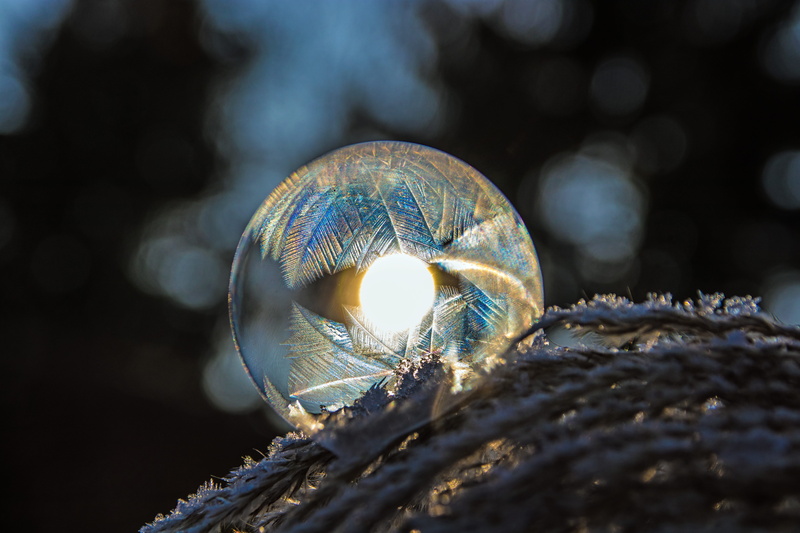 one animal, Bag, ball, nature, ice-bag, frost blister, eiskristalle, cold, 5K, frosted soap bubble, no people, focus on foreground, shiny, frozen, wood - material