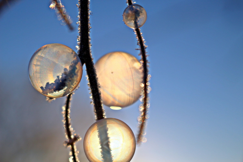 cold, colored background, 5K, Branch, Ball, outdoors, Blister, group of objects, close-up, sky, animal wildlife, metal, Frost, day, eiskristalle, Soap Bubble